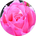 Ewa Bid profile picture
